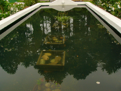 Reflecting pool