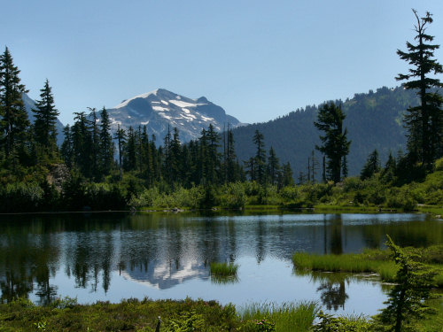 Mount Shuksan reflected in Picture Lake.  A light breeze today played havoc with the reflections.