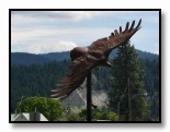 Eagle sculpture at the town of Libby
